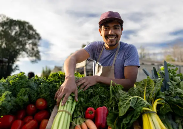 ouvrier agricole roumain