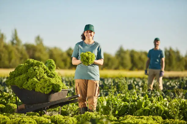 ouvrier agricole