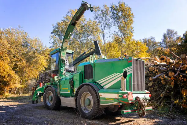 Conducteurs d'Engins Forestiers depuis la Roumanie