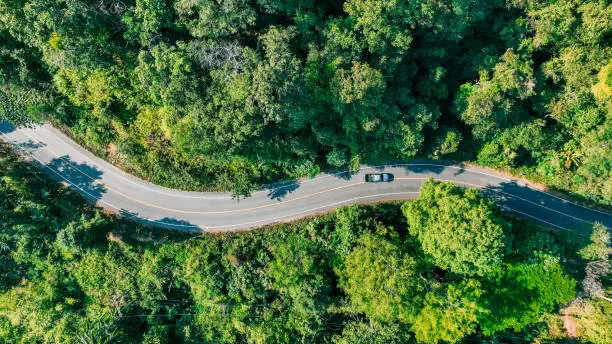 Lire la suite à propos de l’article Recruter des Conducteurs d’Engins Forestiers depuis la Roumanie