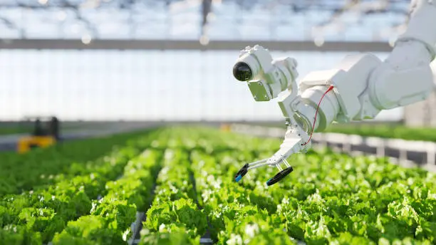 Nouvelles Technologies dans l'Agriculture