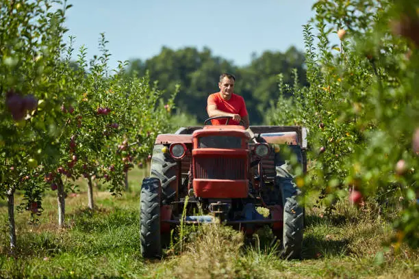 recrutement d'ouvriers agricoles roumains