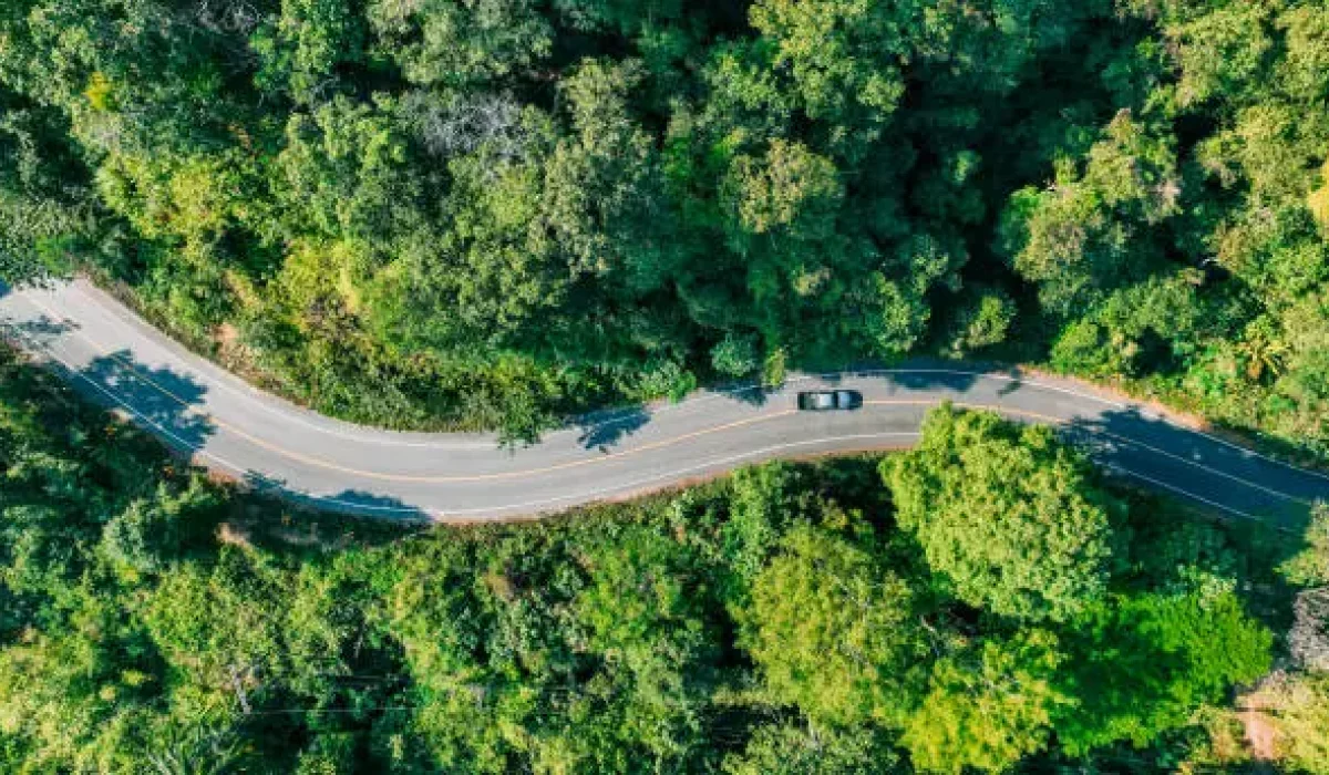 Conducteurs d'Engins Forestiers depuis la Roumanie